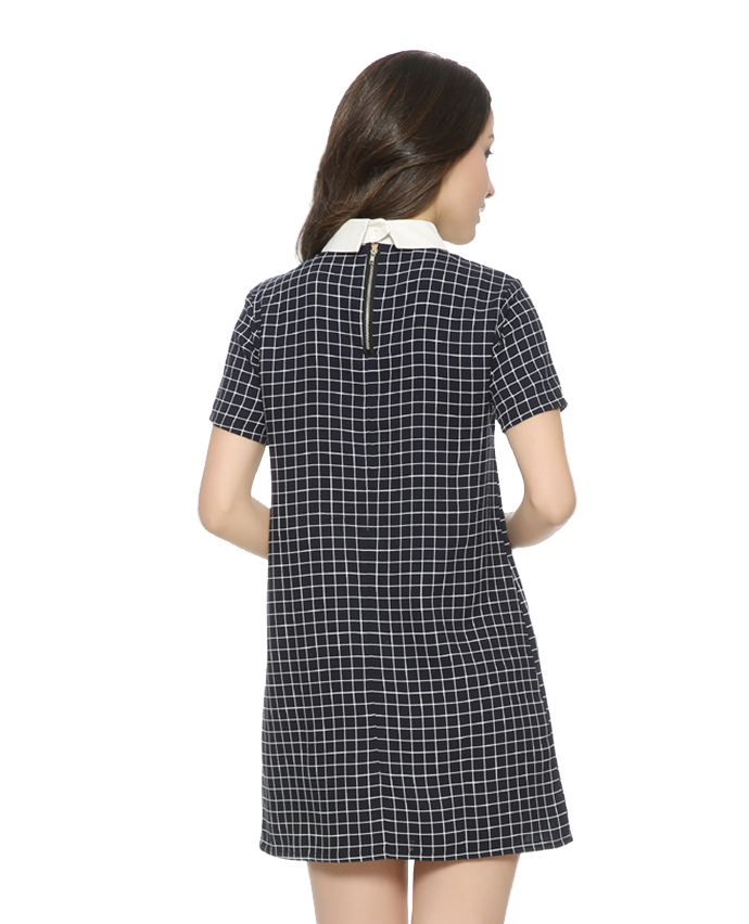 Sample Lines Dress
